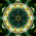 Cosmic 14002