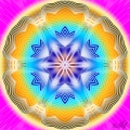 Fluture 2