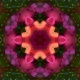 lampa_lui_aladin