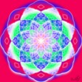 Lotus radiant