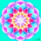 lotusul_din_zori