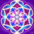 Magia Violet