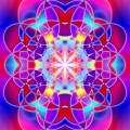 Oul universal