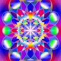 Oul universal 2