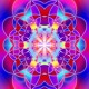 oul_universal