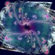 floare_de_cristal