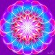 floare_de_papadie